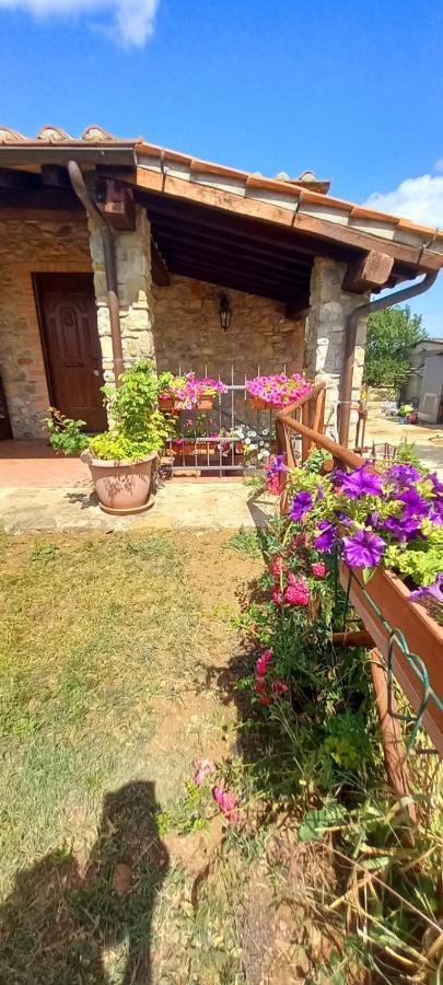 Agriturismo La Casina Saturnia Luaran gambar